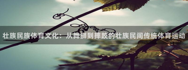 捷报体育下载：壮族民族体育文化：从舞狮到摔跤的壮族民间传统体育运动