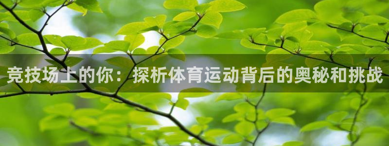 捷报归来是啥意思