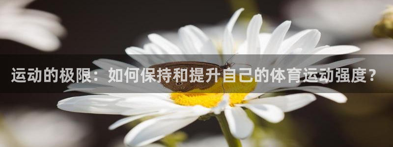捷报网