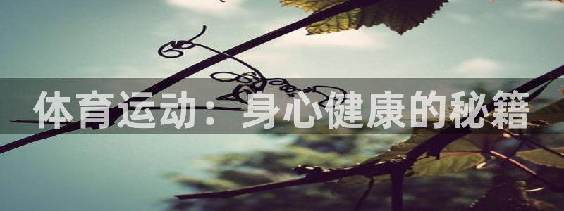 捷报体育足球