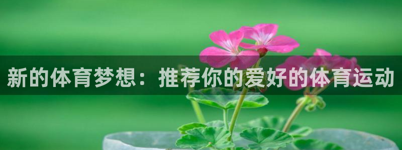捷报体育比分 数据