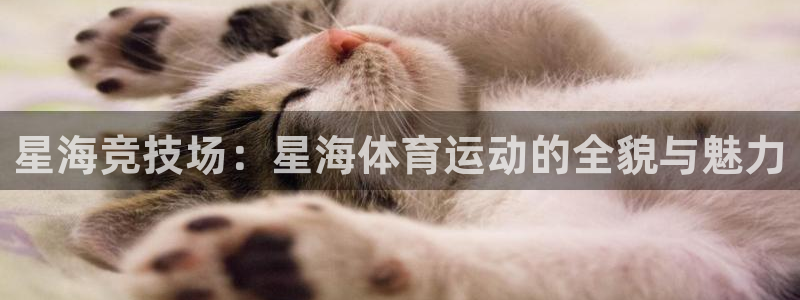 捷报的意思