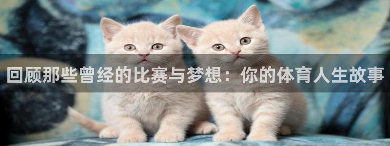 捷报app下载