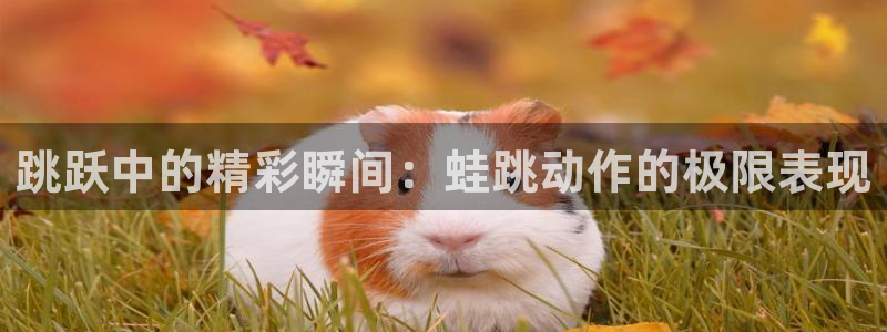 捷报比分篮球：跳跃中的精彩瞬间：蛙跳动作的极限表现