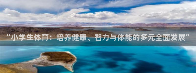 捷报比分手机版旧版本捷达