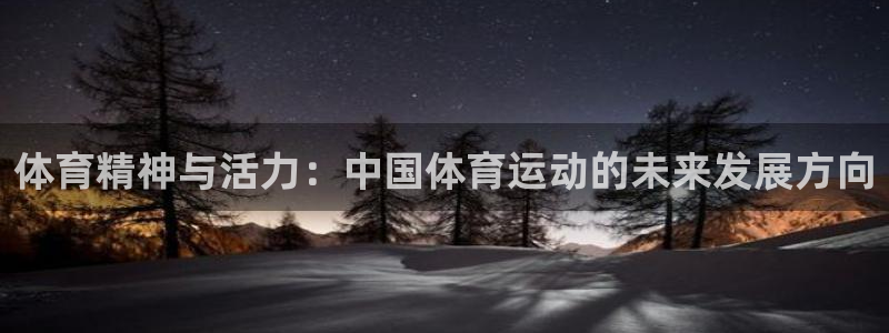 关键词：体育精神与活力：中国体育运动的未来发展方向