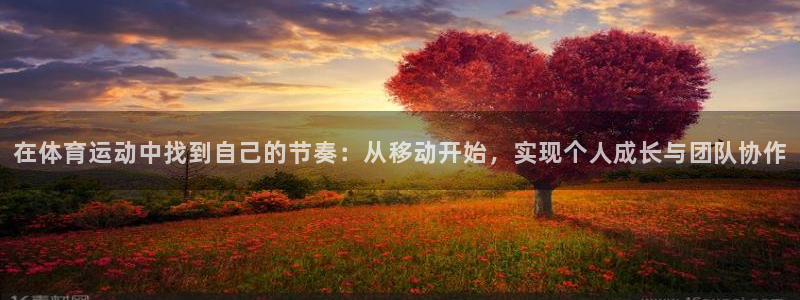 捷报Epace1.5t3缸怎么样：在体育运动中找到自己的节奏：从移动开始，实现个人成长与团队协作