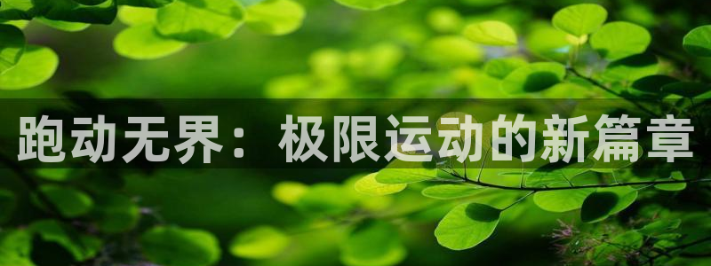 捷报即时比分手机版在线查询：跑动无界：极限运动的新篇章